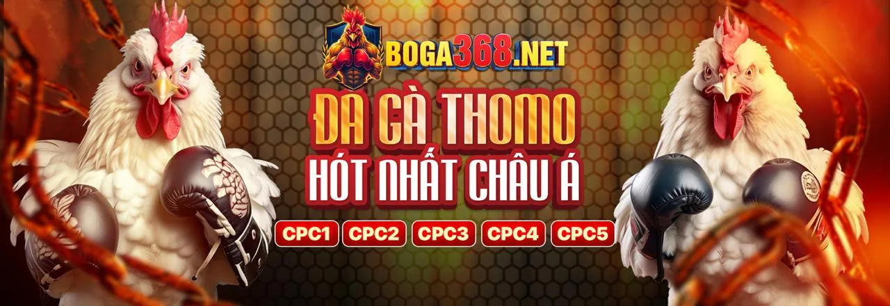 Chương Trình VIP Surewin hiện đang mở