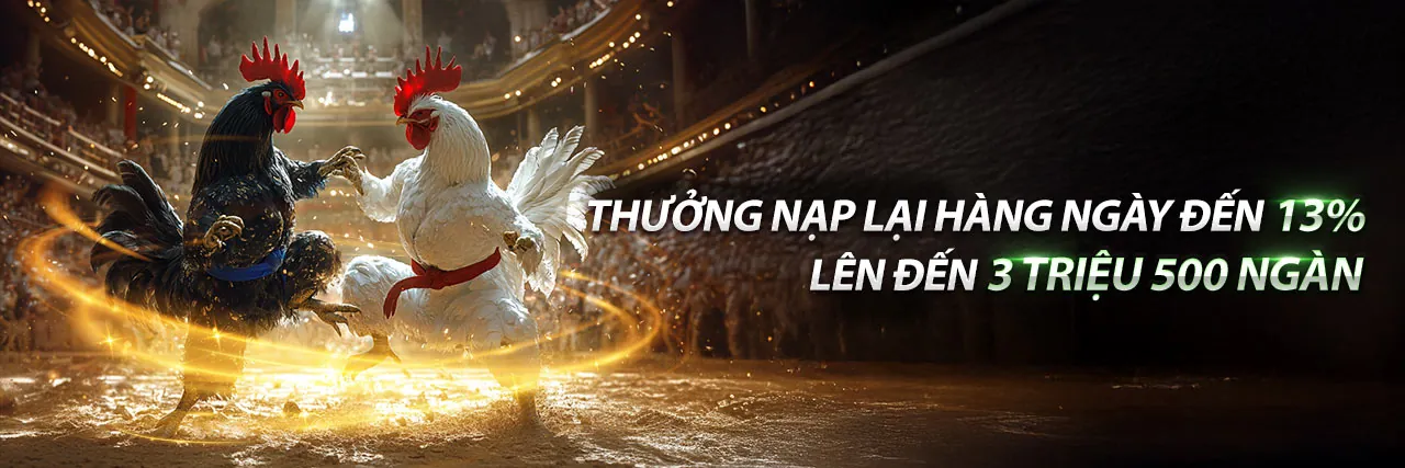 Khuyến mãi Surewin: Ưu đãi độc quyền không thể bỏ lỡ